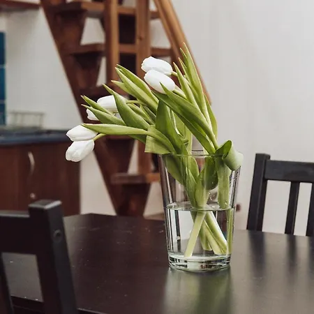 Apartment Wawel Zwierzyniecka *